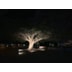 EMBUTIDO SOLO3 9W PRETO 12V DC 20°65° LENTE ASSIMÉTRICA 3000K | DIRECT LIGHT 1865