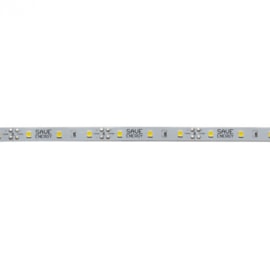 FITA LED 5 METROS INTERNO 6500K 6W/M 12V  | SAVEENERGY SE-145.3103