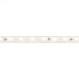 FITA MANGUEIRA LED 100 METROS EXTERNO 6500K 14,4W/M 220V | SAVEENERGY SE-155.3134 FITA MANGUEIRA LED 100 METROS EXTERNO 6500K 14,4W/M 220V | SAVEENERGY SE-155.3134