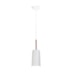 PENDENTE BILBOQUE 1 CFL 25W DIAM. 136X380MM 3M CABO | NEWLINE 109Y PENDENTE BILBOQUE 1 CFL 25W DIAM. 136X380MM 3M CABO | NEWLINE 109Y