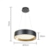 PENDENTE LED ESME POLICARBONATO E AÇO PRETO E DOURADO | HEVVY 1153 LY-8802L PT+DR