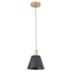 PENDENTE PETTI Ø20X15CM METAL PRETO E DOURADO | NORDECOR 2480