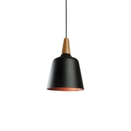 PENDENTE WOOD 1 CFL ESPIRAL 23W DIAM. 200X300MM | NEWLINE SN10180 PENDENTE WOOD 1 CFL ESPIRAL 23W DIAM. 200X300MM | NEWLINE SN10180