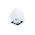 PLAFON CUBE 1 PAR16 50W 57X57X85MM | NEWLINE PL03009 PLAFON CUBE 1 PAR16 50W 57X57X85MM | NEWLINE PL03009