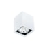 PLAFON CUBE 1 PAR16 50W 57X57X85MM | NEWLINE PL03009