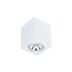 PLAFON CUBE 1 PAR16 50W 57X57X85MM | NEWLINE PL03009 PLAFON CUBE 1 PAR16 50W 57X57X85MM | NEWLINE PL03009