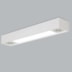 PLAFON DE SOBREPOR TROPICAL 4 T8 120CM 2 PAR20 | USINA 4015/150FPAR PLAFON DE SOBREPOR TROPICAL 4 T8 120CM 2 PAR20 | USINA 4015/150FPAR
