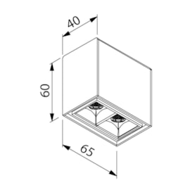 PLAFON PIXEL LED 2 FOCOS 36º 4W 2700K 127/220V 65X40X60MM | NEWLINE PL03028LED27